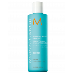 moisture_repair_shampoo_250ml_eu_rgb